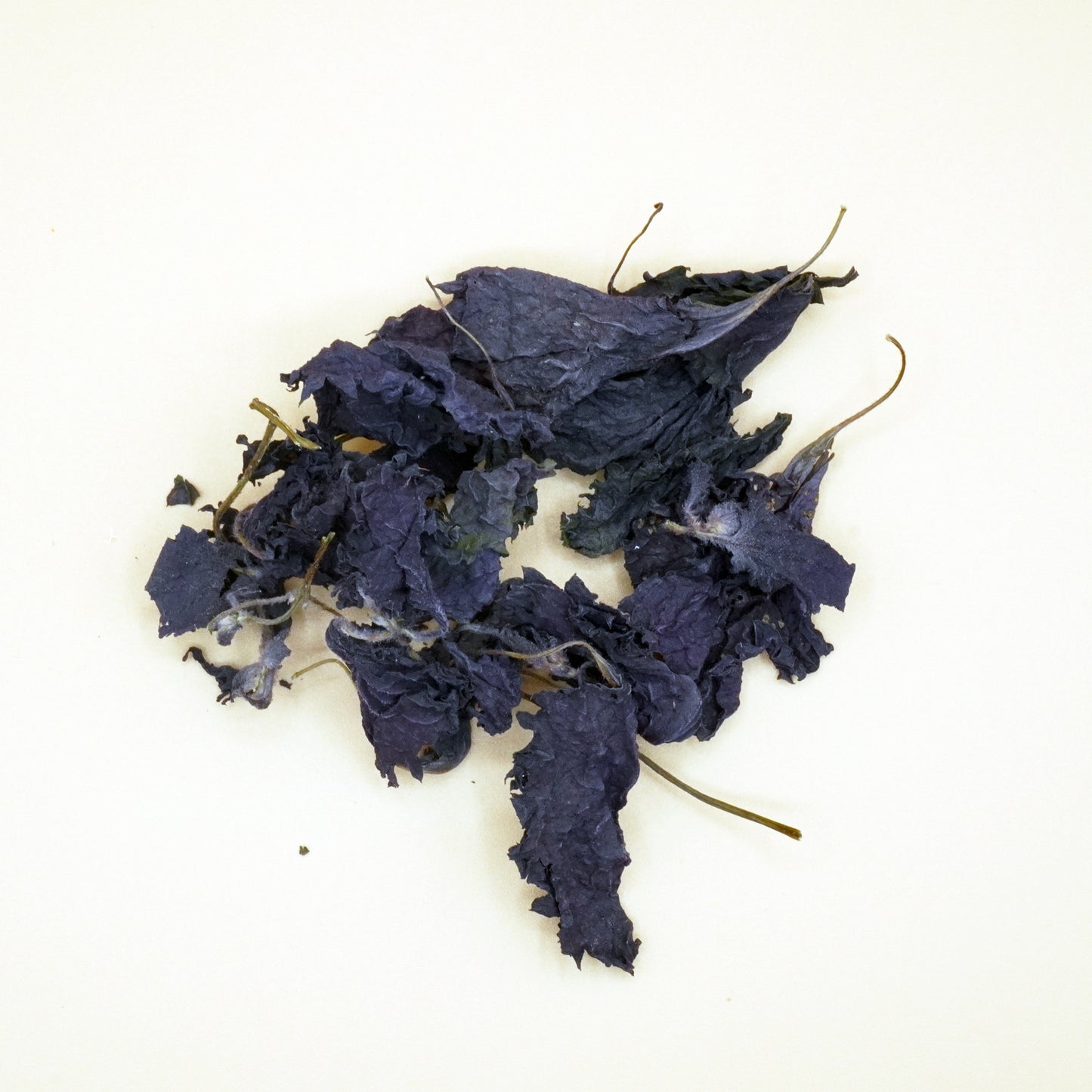 Purple Perilla Leaves (shiso 紫蘇) 10 gr - Organic & Handcrafted