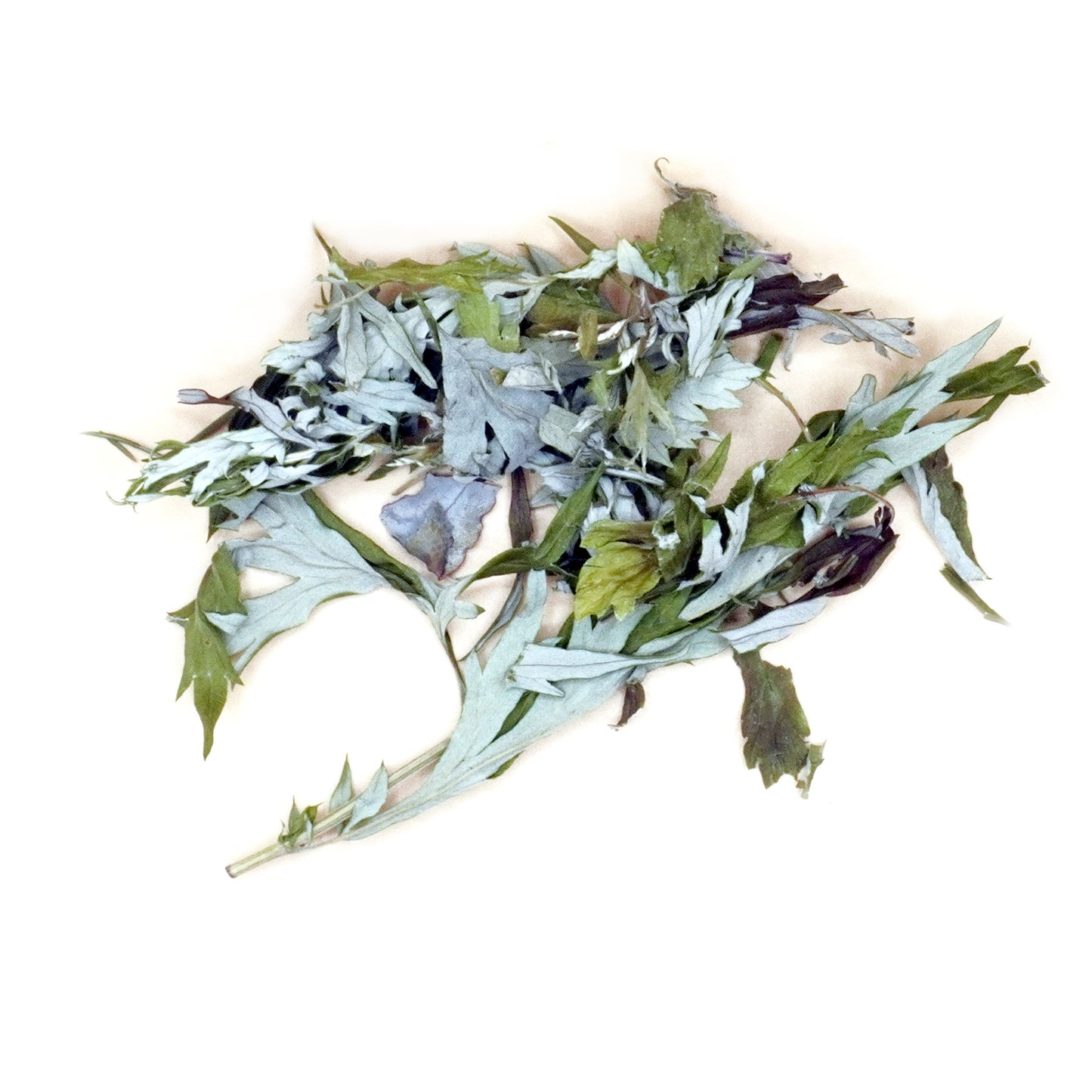 Yomogi Leaves (蓬)  10 gr - Organic & Handcrafted
